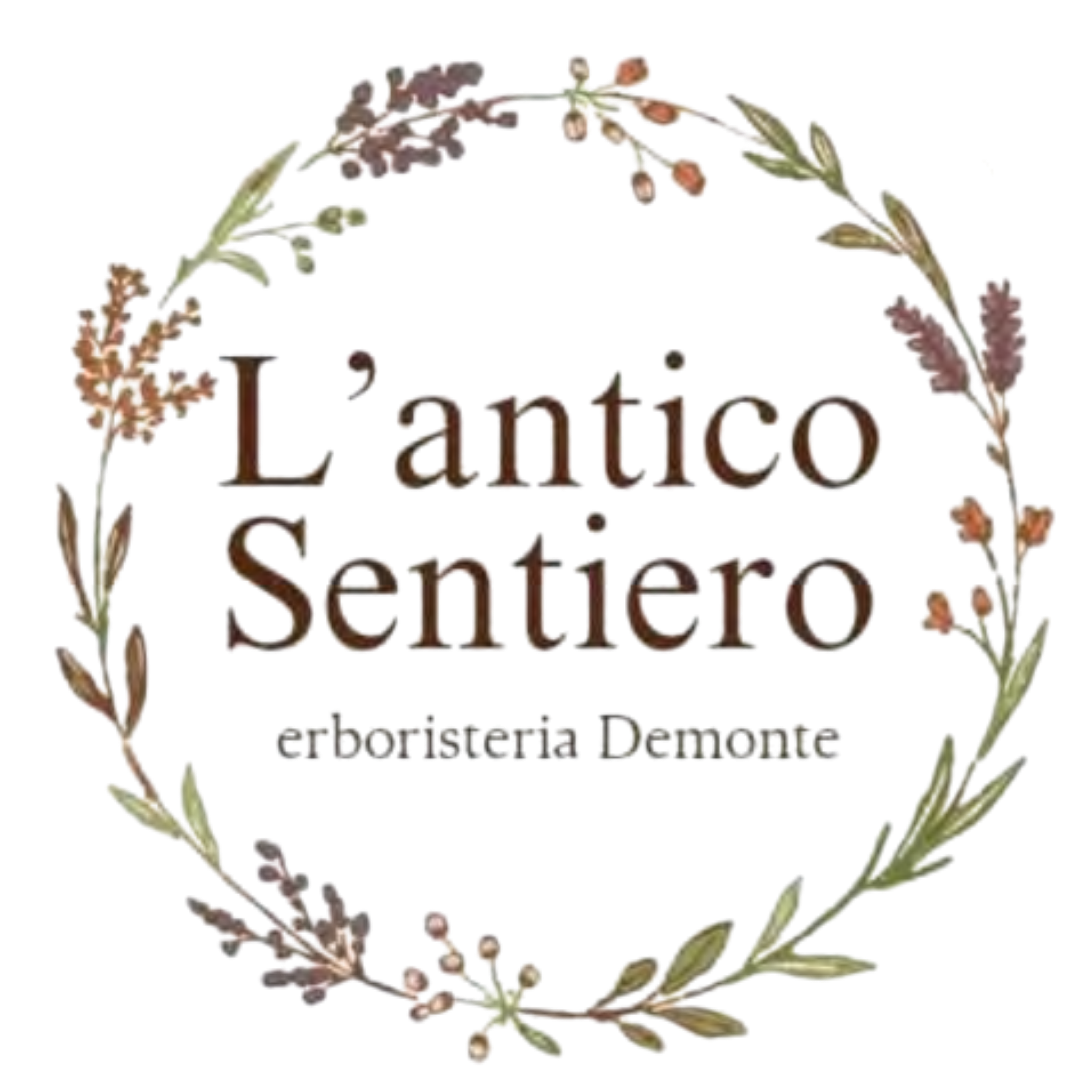Partner Commerciale